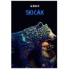 Skick A3, 180 g, 20 list, ern