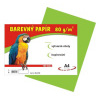 Barevn papr A4, 80 g, zelen, 100 list