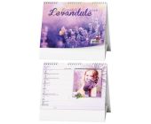 Stoln kalend, Levandule 2026