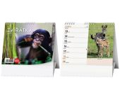 Stoln kalend, IDEL, Zvtka celho svta 2026