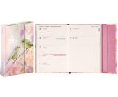 Di magnetick, tdenn, A6, Ptci 2026